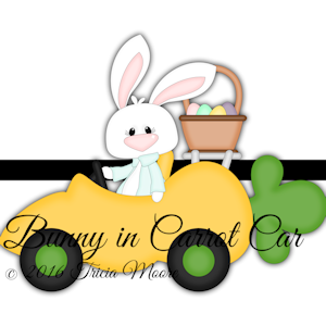 Bunny in Carrot Car
