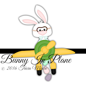 Bunny in Plane