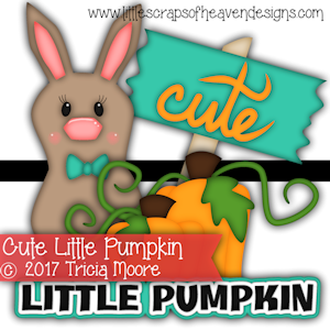 Cute Little Pumpkin