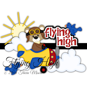 Flying High Bear