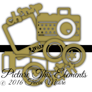 Picture This Elements