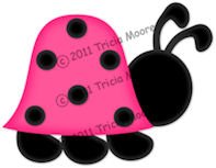 Pink Ladybug