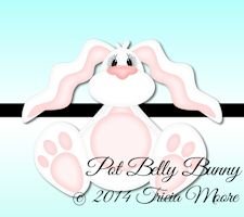 Pot Belly Bunny