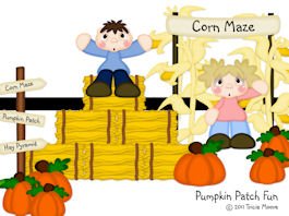 Pumpkin Patch Fun