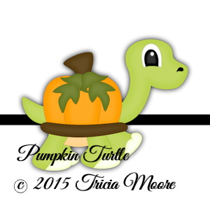 Pumpkin Turtle