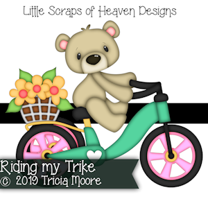 Riding my Trike